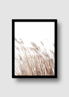 Cuadro Pampa Grass 2 en internet