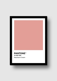 Cuadro Pantone Peaches N Cream en internet
