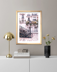 Cuadro Paris Rose