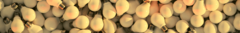 Banner de la categoría LUCES DE EMERGENCIA - LINTERNAS