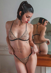 Conjunto Octans