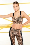 Top Tigerfull