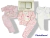 SET PLUSH BEBA "COCOMIEL" -CAJA-