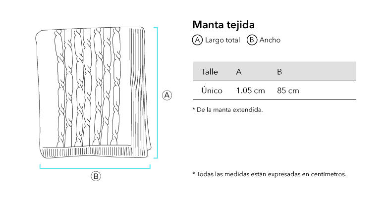 Verifique la URL ingresada.