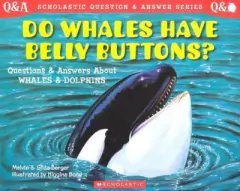 Do whales have belly buttons?