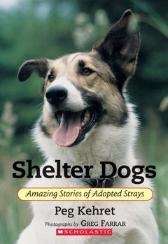 SHELTER DOGS