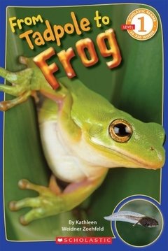 Scholastic Reader Level 1: From Tadpole to Frog