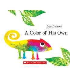A COLOR OF HIS OWN BIG BOOK