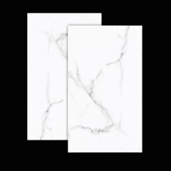 CERAMICA FIRENZE CARRARA BRILLANTE 31 CM X 53 CM