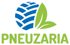 Banner da categoria PNEUZARIA