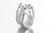 ANILLO TZONOT TENTACULOS