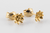 ARETES TOPO FLORES MARINAS en internet