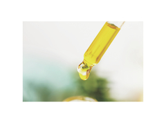 Crema para Manos - Sahya Cosmética Natural