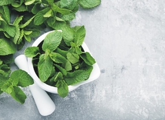 Respiplus  Descongestivo Natural - comprar online