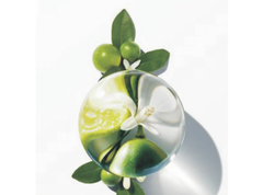Crema Antiarrugas - comprar online