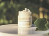 Crema de Baobab en internet
