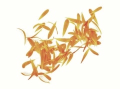 Tónico Facial para Pieles Normales - Sahya Cosmética Natural