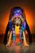 Body Galaxia - tienda online
