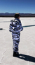 Puffer Cebra - tienda online