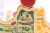 Kokegatitos