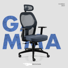 Silla Gamma con cabezal