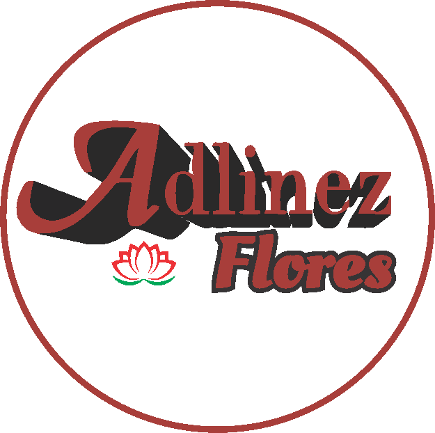 www.adlinezflores.com.br