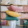 ALMOHADON VELVET LISO