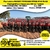 Plantadeira MASSEY FERGUSON MF509 HF45 16x50 Pantográfica á Vácuo ano 2011 no Tandem - MASSEY FERGUSON