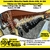 Semeadeira Hidráulica Plantio Direto JUMIL SH 2611  11 linhas ano 1984 Especial Sementes Finas - JUMIL