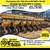 Plantadeira VALTRA HiTech BP 1307 L 24x50 Pivotada ano 2010/2014 no Tandem - VALTRA