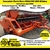 Semeadeira Plantio Direto IMASA MSS 2000 20 linhas Caixa Inox ano 2004 - IMASA