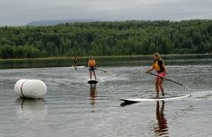 Pértiga SUP Empuñadura Estandar D27x29 x L1700 mm - comprar online