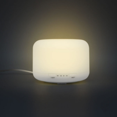 Humidificador Difusor Big Misty - comprar online
