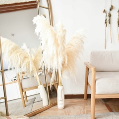 Set de pampas - comprar online