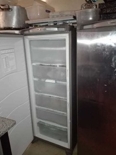 RESTO en CAÑITAS - REMATE GASTRONOMICO EL LUNES 27/1/2020