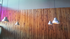 Imagen de CERVECERIA en PALERMO HOLLYWOOD - REMATE GASTRONOMICO EL MARTES 23/6/2020