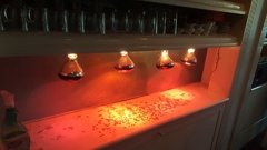 REMATE DE RESTAURANTE EN LA PLATA - JUEVES 14/3 - REMATES GASTRONOMICOS - REMATES ON LINE - FONDOS DE COMERCIO - SUBASTAS ON LINE