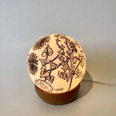 Dibujo con luz chico - tienda online