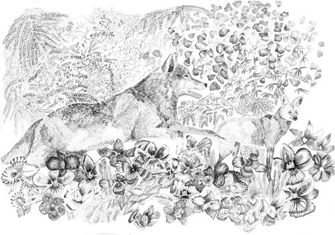 Lobos, lápiz grafito.