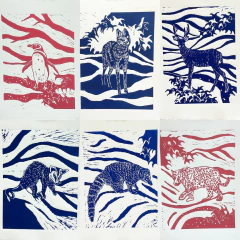 PACK 6 animales autóctonos