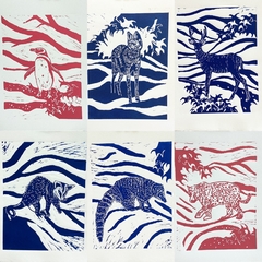 PACK 2 animales autóctonos - comprar online