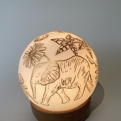 Dibujo con luz chico dorado - comprar online