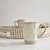 Taza Jaipur