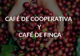 CAFE DE COOPERATIVA Y CAFE DE FINCA