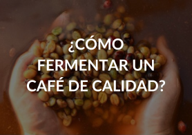 FERMENTACIÓN PARA UN CAFÉ DE CALIDAD