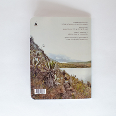 cuaderno/fanzine de bolsillo *carolina osejo en internet