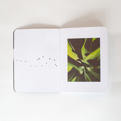 cuaderno/fanzine de bolsillo *carolina osejo - tienda online