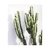 Cuadro 30*40 - comprar online