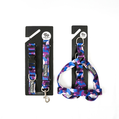 Combo Collar + Correa + Pretal Monaco