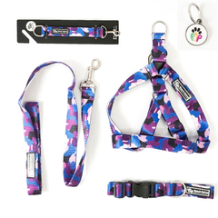 Combo FULL Collar + Correa + Pretal + Llavero + Chapita Monaco